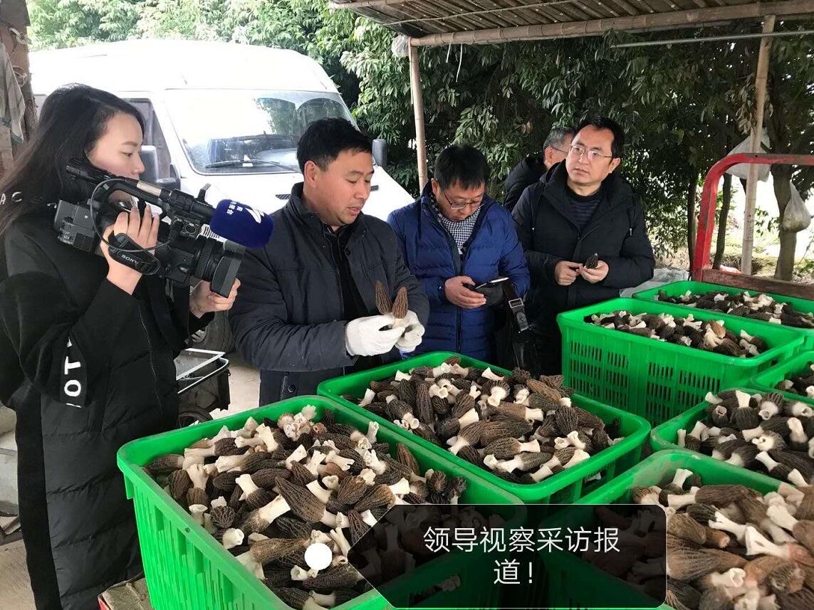 &#24320;&#20803;&#32593;&#31449;&#30331;&#24405;&#20837;&#21475;&#95;&#24320;&#20803;&#65288;&#20013;&#22269;&#65289;